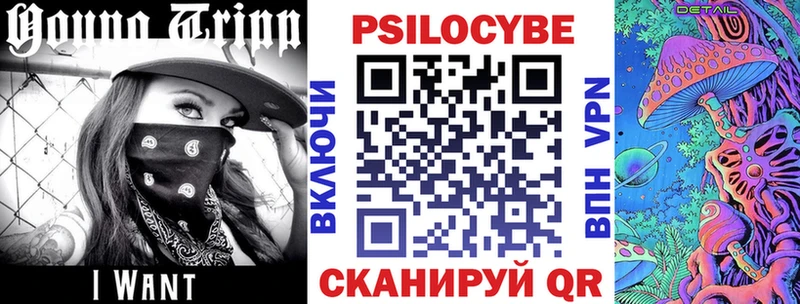 Галлюциногенные грибы прущие грибы  купить наркотики цена  Камышин 