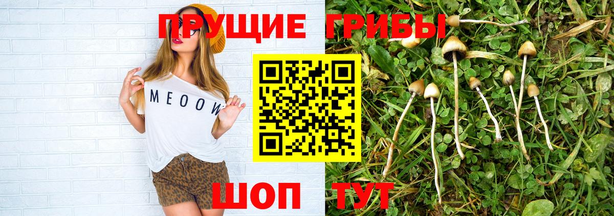 Галлюциногенные грибы Psilocybine cubensis  Галлюциногенные грибы MAGIC MUSHROOMS  Вход с VPN  Камышин 