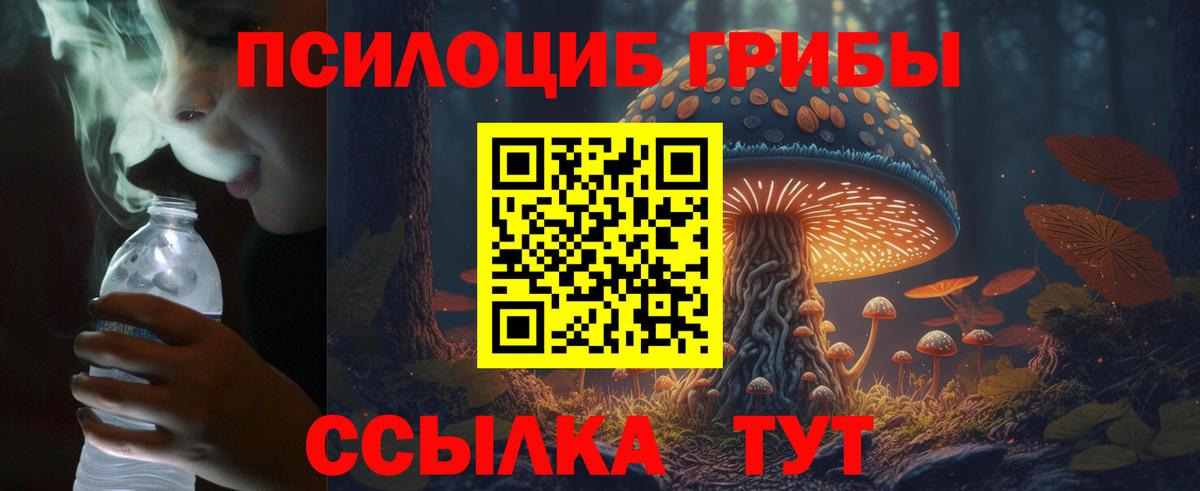 Псилоцибиновые грибы MAGIC MUSHROOMS Камышин